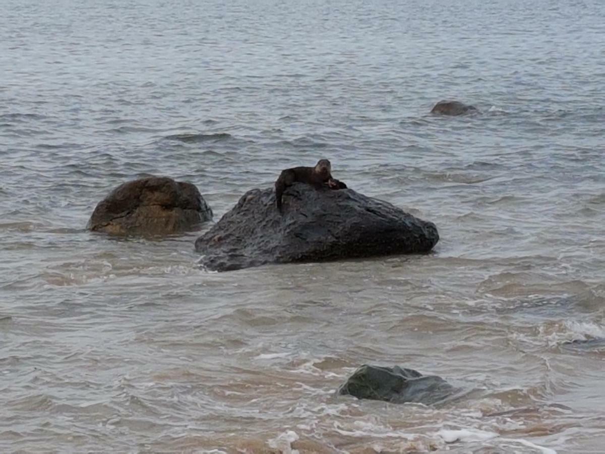 Shiskine Gairloch Buitenkant foto