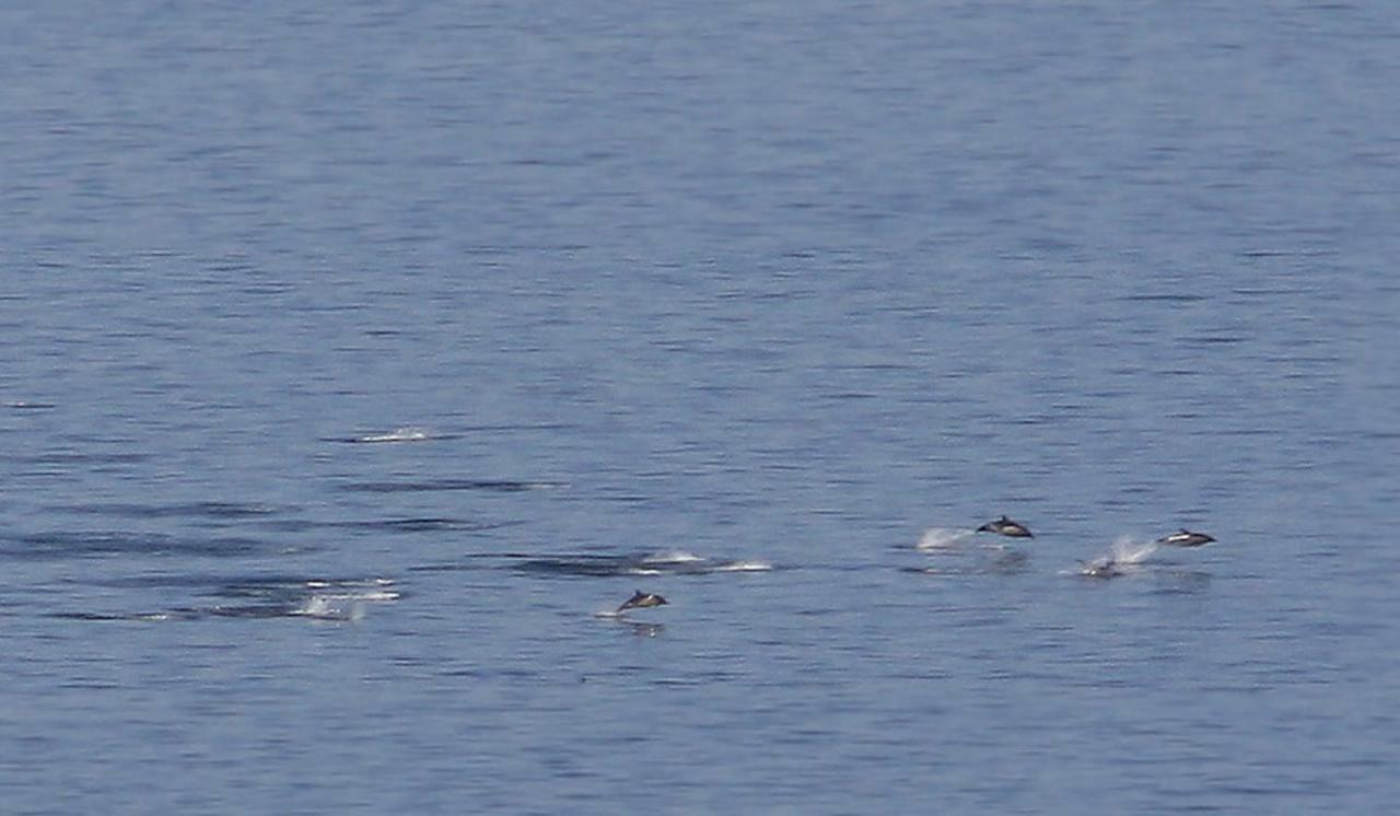 Shiskine Gairloch Buitenkant foto